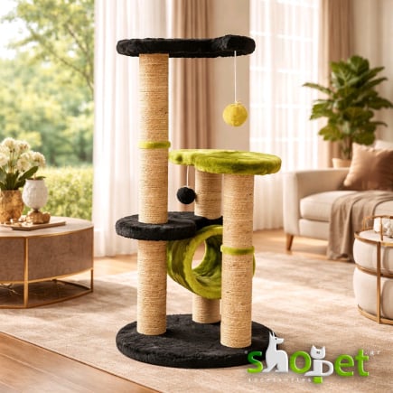 Cat scratching trees