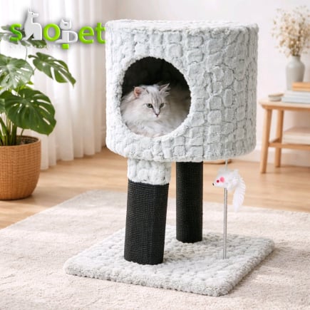 Cat scratching trees