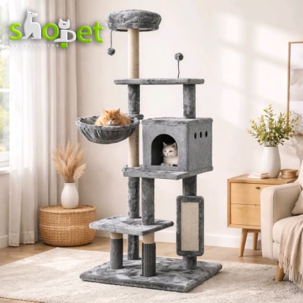 Cat scratching trees