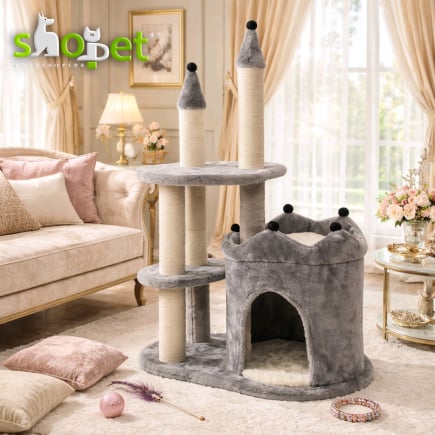 Cat scratching trees