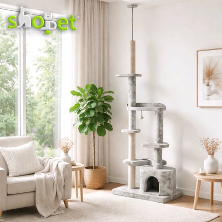 Cat scratching trees