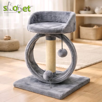 Cat scratching trees