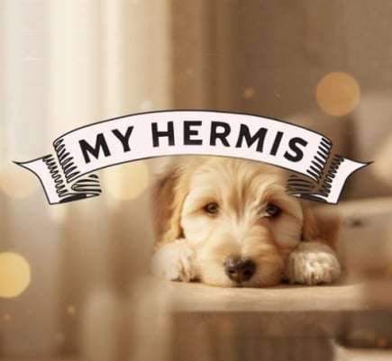 MY HERMIS